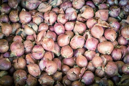 Heap of raw yellow onions on display at market stand in Little India, Singaporeの写真素材