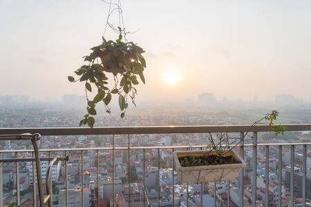 High-rise apartment balcony garden with hanging basket, window box and aerial view cityscape in Hanoi, Vietnamの写真素材