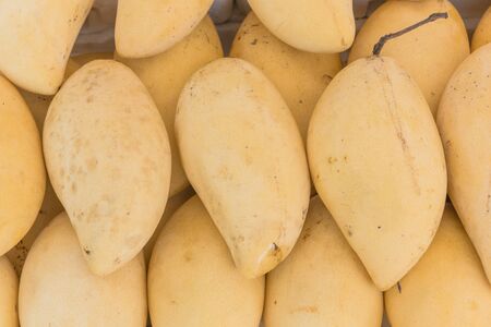 Full frame close-up view bright yellow ripen Ataulfo mangos pile in polystyrene box at street market...
