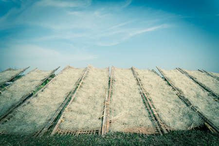 Upward view row of bamboo fences with Vietnamese rice vermicelli drying in the sun outside of Hanoi,...