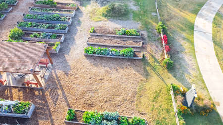 Aerial view community garden with wooden pergola, row of raised planting beds near concrete pathway...