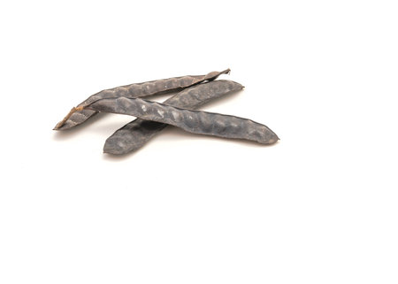 Three Albizia lebbeck long flat and dry pods with seed inside isolated on white background. Black lebbek tree fruit, other names are flea tree, frywood, koko, Persian silk treeの写真素材