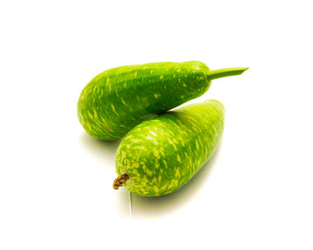 Two long mottled bottle gourds, opo calabash isolated on white background. Organic homegrown white-flowered gourds or Tasmania beanの写真素材