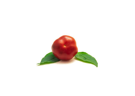 Ripe hot cherry pepper or pimiento, pimento with leaves isolated on white background. Homegrown red heart-shaped chili pepper fresh picked from garden.の写真素材