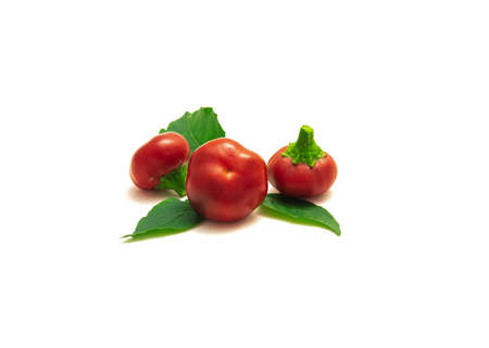 Studio shot three ripe hot cherry peppers or pimiento, pimento with leaves isolated on white background. Homegrown red heart-shaped chili pepper fresh picked from garden.の写真素材