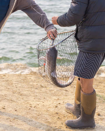 Asian man wear fishing boot and short using a landing net and fish lip gripper to catch the catfish. Fishing from freshwater in Lavon Lake, Texas, America.の写真素材