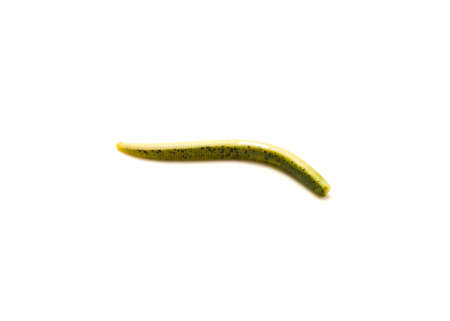 Single green pumpkin with black flake plastic stick worm isolated on white background. Rubber worms...
