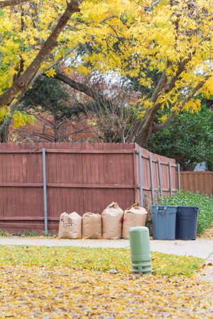 Yellow fallen leaves on back alley with row of paper lawn bags and trash bins at residential house near Dallas, Texas, USA. Bright fall foliage bright autumn colors on asphalt road along wooden fenceの写真素材