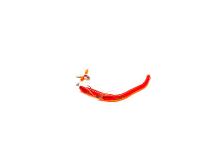 Pre-Rigged scoundrel worm bass lure isolated on white background. Propeller blade for water...