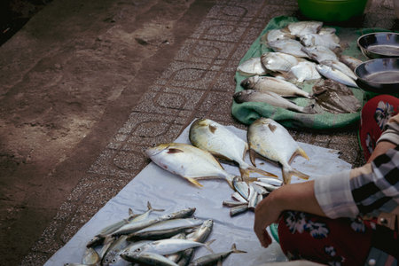 Toned photo plaice fish and other seafood varieties on sale at local wet market in Vung Tau, Vietnam. Top view unique fresh catch wet market for local residents in Southern Viet Namの写真素材
