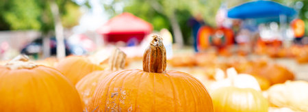Panorama pumpkin patch blurry tents selective focus background at local Church Halloween event Dallas, Texas, USA, traditional holiday display decoration welcome October festive. Community traditionの写真素材