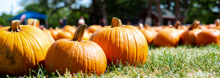Panorama pumpkin patch blurry tents selective focus background at local Church Halloween event...