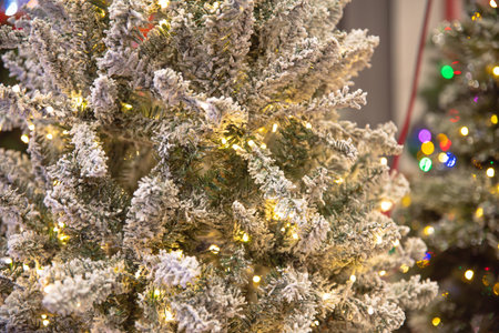 Frosted pre-lit artificial Christmas tree amelia pine, warm white LED micro fairy lights stunning illumination, tips adorned pinecones, glitter, colorful changing bokeh background. Xmas decorationの写真素材