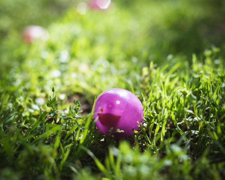 Toned photo shallow DOF colorful Easter eggs on green grass field with early morning backlit light, eggs hunting tradition at local Church backyard, Dallas, Texas, Christian holiday celebration. USAの写真素材