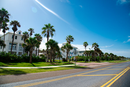 Roadside beach houses with palm trees along State Park Road 100, Ocean boulevard near downtown South Padre Island, Texas, multistory white painted residential vacation rental homes sunny blue sky. USAの写真素材