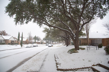 Southern oak tree branches covered in snow along residential street during winter storm in Coppell, suburbs Dallas, Texas, single-family houses with shingle roofs. USAの写真素材