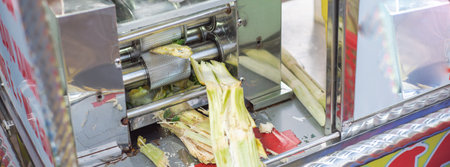 Panorama view discharging bagasse dry pulpy fibrous sugar cane fiber from street food drink vendor in Can Tho, Vietnam, rust resistant stainless steel press roller center shaft teeth machine. Asiaの写真素材