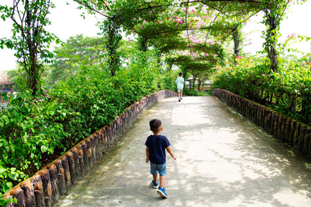 Rear view Asian toddler boys running along flower tunnel road concrete pathway under blossom colorful bougainvillea ornamental vines, ecotourism local community in Can Tho, Vietnam, conservation. Asiaの写真素材