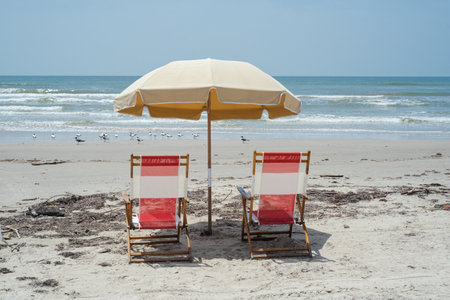 Beige umbrellas with red-and-white striped wooden chairs highlight nostalgic beach aesthetics, focusing on intimate seating arrangements with seagulls and sandy shoreline views, Galveston, TX. USAの写真素材