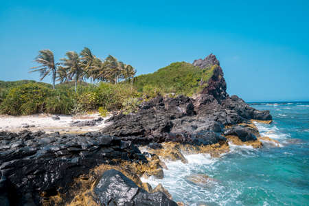 Tropical beach with palm trees and rocksの写真素材