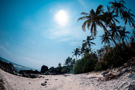 Beautiful tropical beach in Sri Lanka. Beautiful landscape with palm treesの写真素材