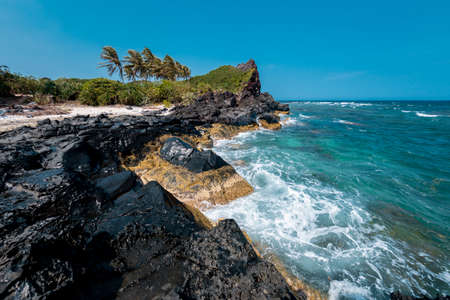 Tropical beach on a sunny dayの写真素材