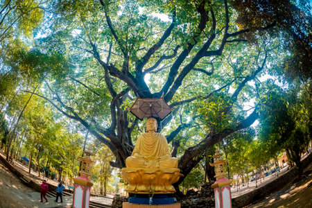 Buddha statue in Wat Phra That Doi Suthep, Chiang Mai, Thailandの写真素材