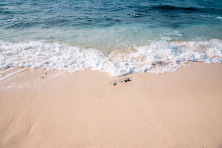 beach and tropical sea, beautiful photo digital picture, nature seriesの写真素材