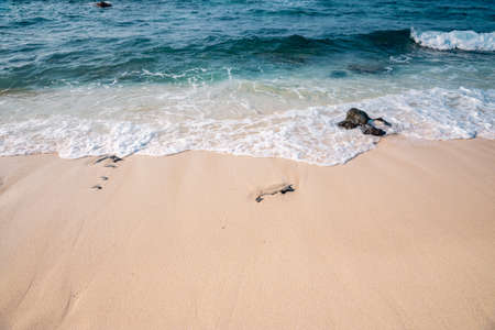 Footprints in the sand on the beach. The concept of travel and vacation.の写真素材