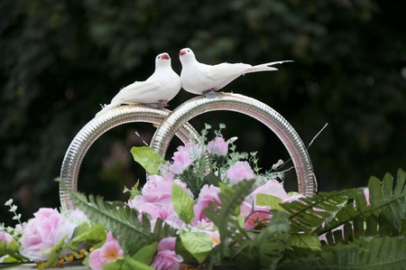 Wedding car decoration with rings and pigeonsの写真素材