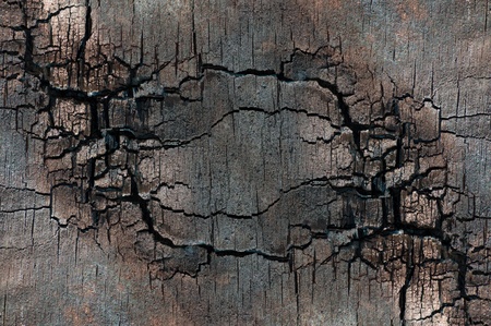 Symmetric structure of the scorched plywoodの写真素材