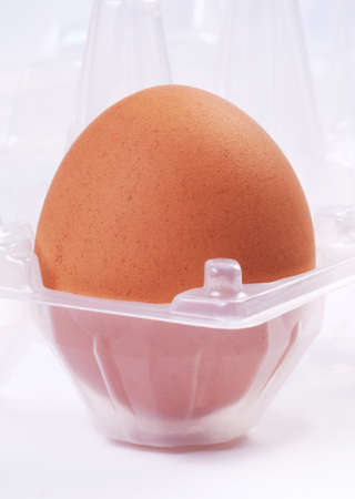 Single egg in plastic box