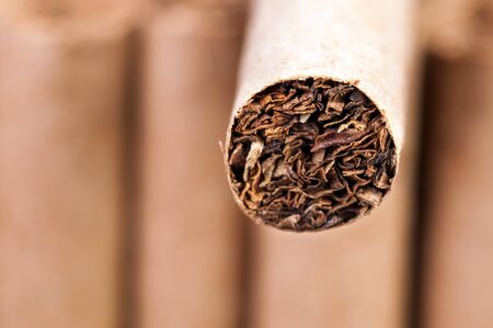 Tobacco in cigarettes close upの写真素材