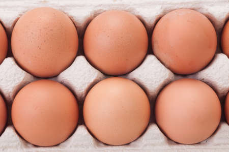 Eggs in paper box top view