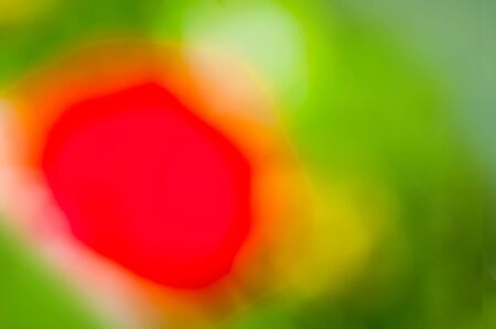 Blurred spring abstract colorful backgroundの写真素材