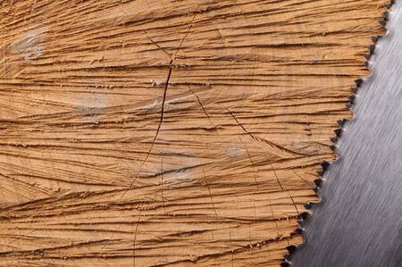 Saw on the background of a felled tree lose upの写真素材