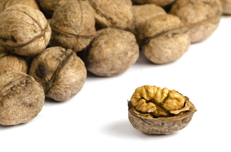 Walnuts on white background with shadow close up