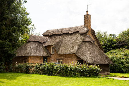 An old thatched cottage nestling in treesの写真素材