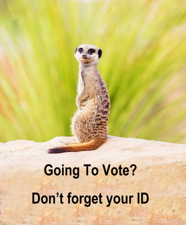 A concept sign reminding voters that they need to take ID with themの写真素材