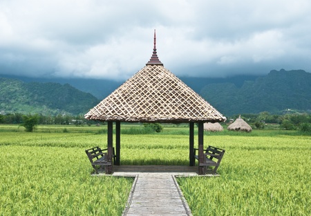 Hut  in Green rice field.の写真素材