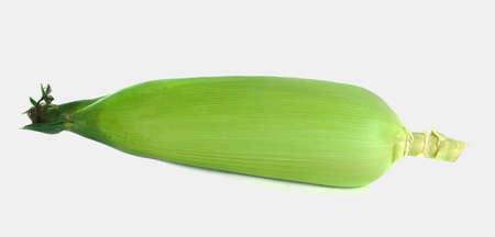 Isolated Corn on white.の写真素材