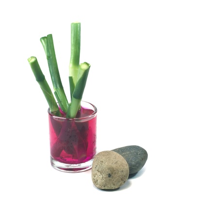 Spa still life with plant.の写真素材