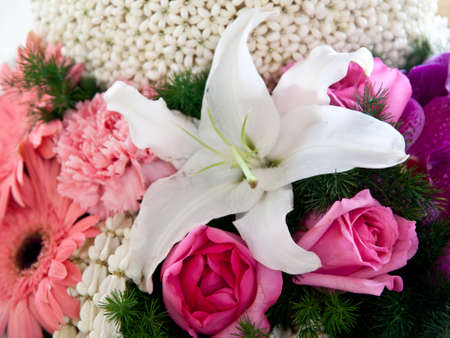 beauty colofful flower in garden.の写真素材