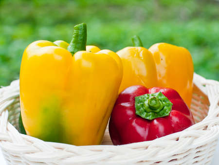 Colored fresh sweet  paprika ( pepper ) in wood basket .の写真素材