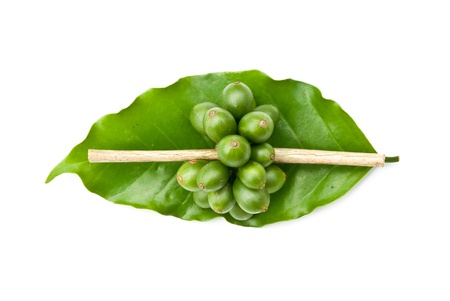 coffee beans and leaf on white background の写真素材