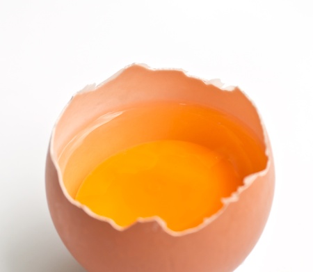 Chicken egg yolk on the disk の写真素材