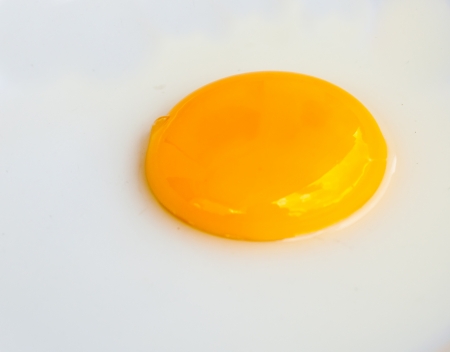 Chicken egg yolk on the disk の写真素材