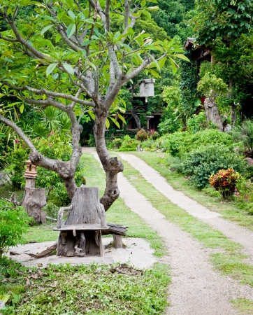 Wooden bench in the park の写真素材