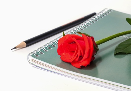 Red rose on the  notebook with pencil.の写真素材