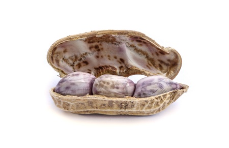 Peanuts isolated on white background.の写真素材